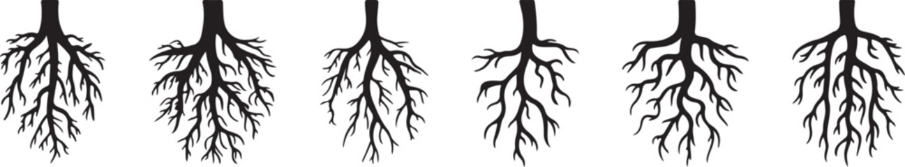 Six black tree root silhouettes on white background