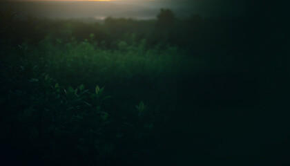 In Your Presence, I Find Peace &ndash; Green Background with Sunrise Hope and Renewal