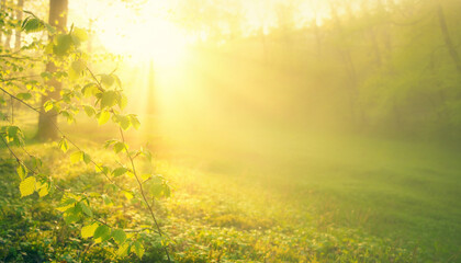 In Your Presence, I Find Peace &ndash; Green Background with Sunrise Hope and Renewal