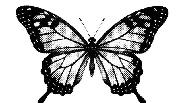Elegant Black and White Butterfly Illustration.