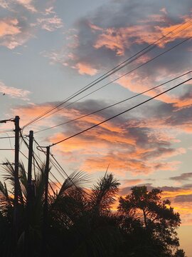 Vibrant Pink and Orange Sunset Clouds Over Palm Trees and Utility Poles