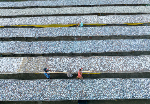 Aerial view of rows of fish drying under the sun, with workers tending to the harvest, creating a textured pattern from above, Cox's Bazar, Chittagong Division, Bangladesh.