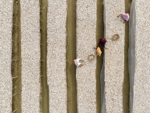Aerial view of people working on drying fish in long rows, creating a textured pattern from above, Cox's Bazar, Chittagong Division, Bangladesh.