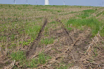 tracks across wet farm field