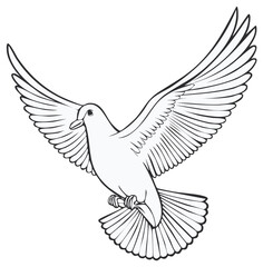 Fototapeta premium Soaring bird in flight, vector illustration, white dove icon, peace symbol.