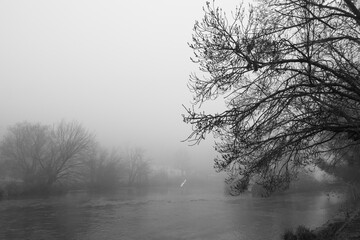 Fototapeta premium Foggy river landscape in black and white winter atmosphere at Borghetto sul Mincio Italy