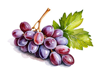 Naklejka premium A still life image of a bunch of grapes surrounded by leaves