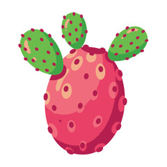 Prickly Pear Cactus Fruit Illustration.