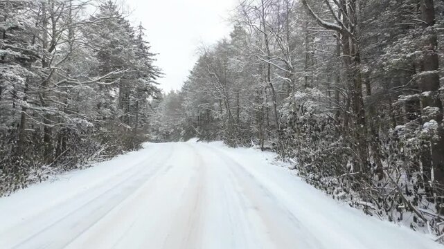 Driver's perspective driving through a snow-covered forest during gentle snowfall, capturing a peaceful winter road surrounded by trees