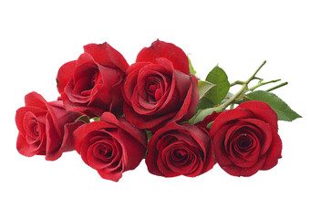 Obraz premium A cluster of vibrant red roses with dew drops and green leaves isolated on a transparent background rose bouquet