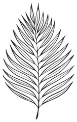 Obraz premium Exotic botanical palm leaf illustration in a minimalist outline drawing style