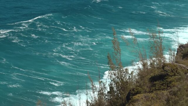 Poelua Bay. ʻOhai Trailhead, Kahekili Highway (Route 340), Maui, Hawaii. Erosion. Sea cliff, Cliffed coast, Abrasion coast. Pacific ocean. Casuarina equisetifolia, coastal she-oak, horsetail she-oak