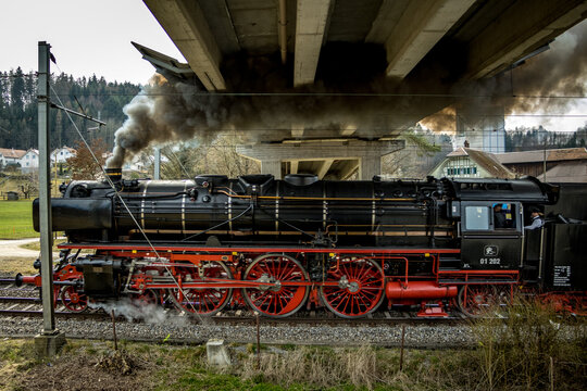 View of a vintage black steam train with red wheels chugs powerfully beneath a concrete bridge, billowing dark smoke against a backdrop of lush greenery, Lyss, Canton of Bern, Switzerland.