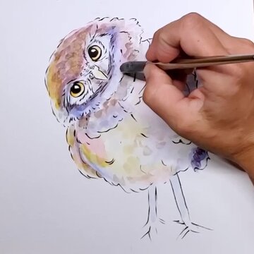 Watercolor burrowing owl painting square timelapse
