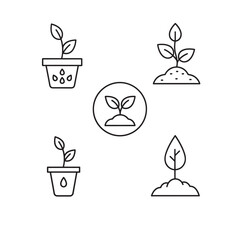 Vector illustration of four plant sprouts in different stages and pots isolated on transparent background