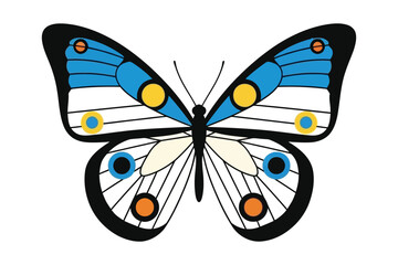 Colorful Butterfly Illustration