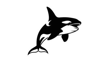 Orca illustration on white background © Layla