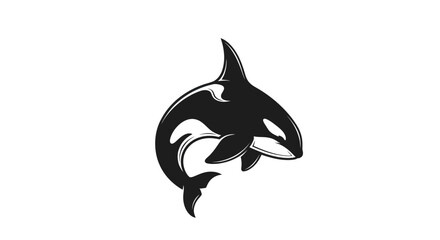 Orca whale illustration on white background © Layla