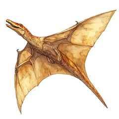 Pteranodon, watercolor drawing vector, isolated on a white background. © azendia