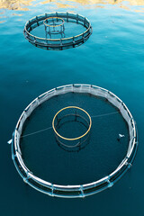 Aerial view of a fish farm with floating cages arranged on the water surface. Modern aquaculture and sustainable seafood production