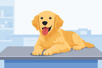 Happy golden retriever dog lying on a table in a clinic.