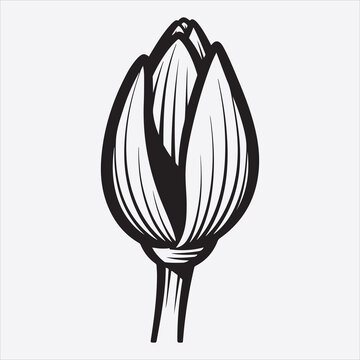 Water lili vector flower design