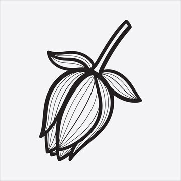 Water lili vector flower design