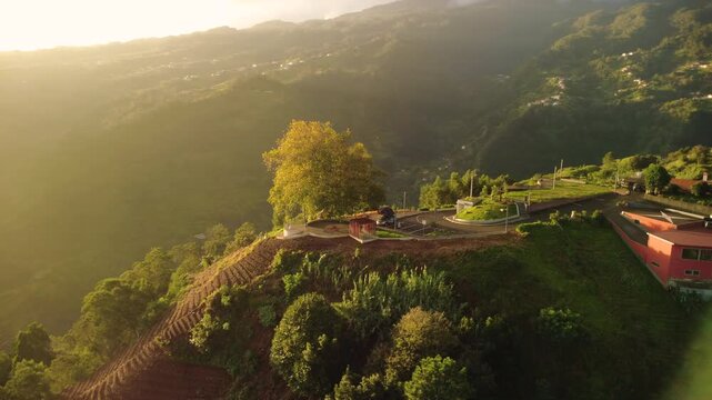 Drone flying towards the bright sun at dawn over a plane tree at Lombo do Pico in Sao Jorge, aerial sunrise with lens flare over mountains, terraces and a car with roof tent in Madeira island.
