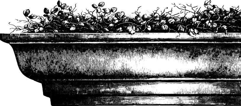 Minimal architectural cornice with botanical silhouette design for retro aesthetic