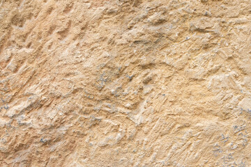 Textured surface of natural beige stone with visible patterns and variations in color, suitable for...