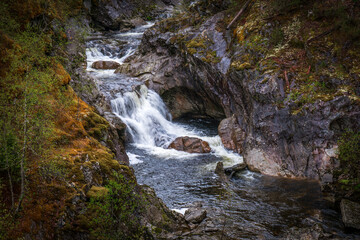 Forest Waterfall in Rocky Gorge with Moss and Spring Foliage
