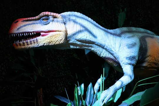 MONTREAL QUEBEC CANADA 09 19 2025: Eucnemesaurus meaning "good tibia lizard", for its robust tibiae) is a basal sauropodomorph dinosaur genus usually considered to be a synonym of Euskelosaurus