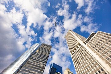 Fototapeta premium Low angle view of modern skyscrapers against blue sky with clouds and flying birds in urban business district