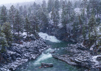 Winter River Gorge With Pine Forest During Snowfall