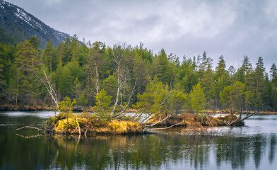 Small Forest Islands on Calm Lake in Norway
