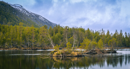Small Forest Islands on Calm Lake in Norway