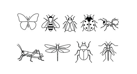 Variety of insect drawings in a simple black and white silhouette © Jesmin