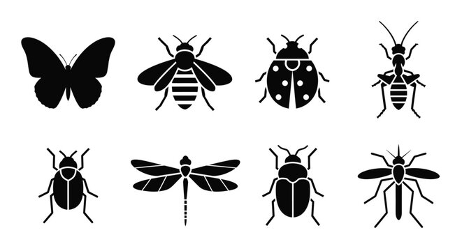 Collection of black insect silhouettes against a white background silhouette