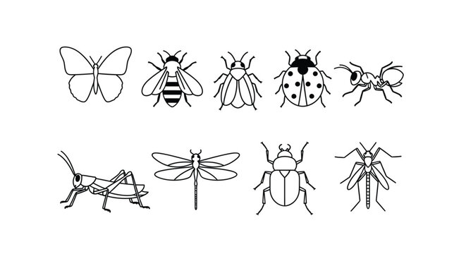 Variety of insect drawings in a simple black and white silhouette