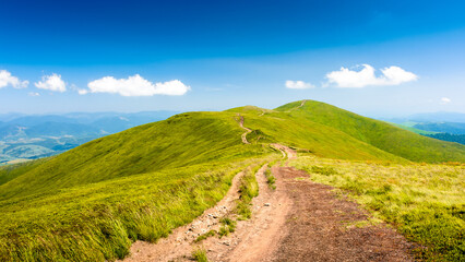 path through mountain landscape. alpine trail for wanderlust in summer. hiking green carpathian alps under blue sky. beautiful adventure background on a sunny day © Lesia