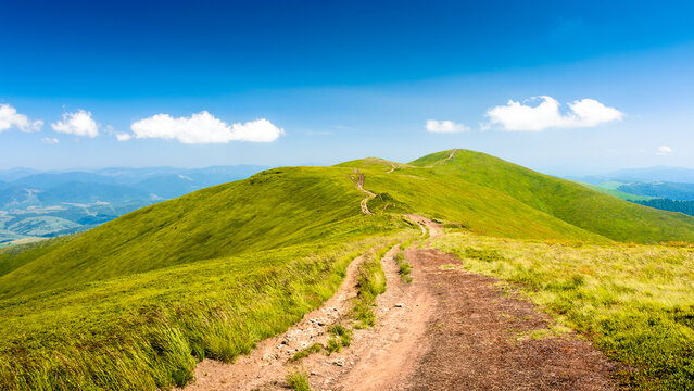 path through mountain landscape. alpine trail for wanderlust in summer. hiking green carpathian alps under blue sky. beautiful adventure background on a sunny day