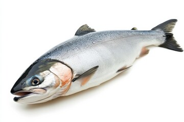 Obraz premium Salmon fish displayed on a white background ready for preparation or cooking in a kitchen setting