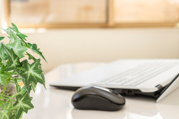 窓際の明るい室内でテレワークをするノートパソコンのイメージ（手前の植物にピント、無人）