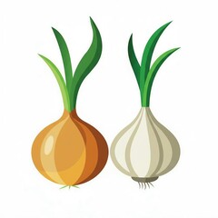 onion and garlic illustration 