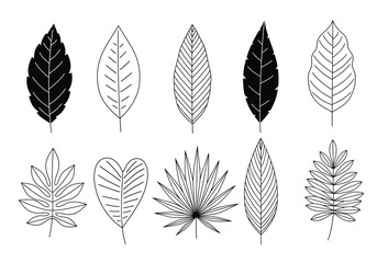 Collection of Various Leaf Illustrations and Designs.