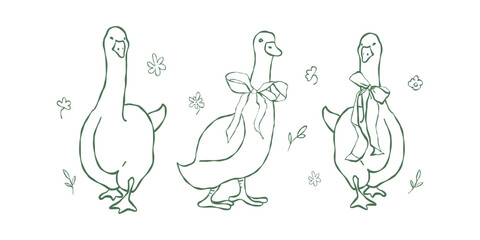 A set of geese with flirty bows and flowers in outline style. Vector poultry, isolated design elements. Funny farm animals. Whimsical decorative green clip art. Vector collection of illustrations. © Anastasiia