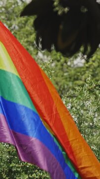 LGBT flag fluttering in the wind in the summer park