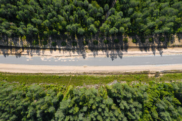 Aerial top view from drone on asphalt road at pine forest