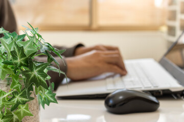 窓際の明るい室内でテレワークをする男性のイメージ（手前の植物にピント、顔無し）