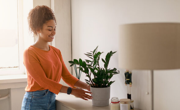 A woman is adjusting a green plant in a pot on a table in her living room. Sunlight is coming through the window as she smiles while working on the plant.